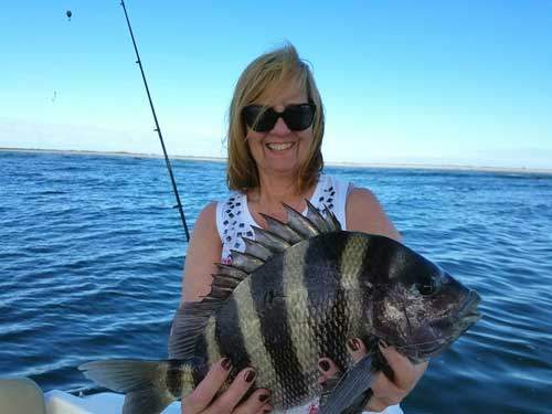 Sheepshead