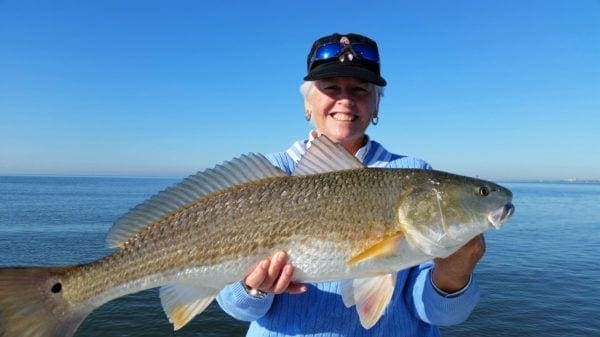 Redfish inshore Biloxi Charter Fishing Redfish inshore Biloxi Charter Fishing