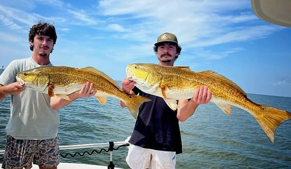 Gulf Coast Bull Reds Gulf Coast Bull Reds